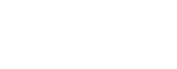 Logo Vetnova en blanco.